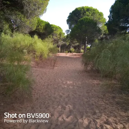 Apartment Rosa De La Contrera *